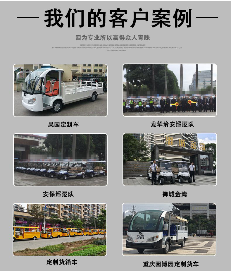 T8-1 電動(dòng)觀光車廂式貨車廂式貨車四輪電瓶車度假(圖7)